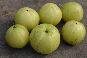 indian gooseberry, amla, fruit, food, produce, emblic, healthy, vitamins, delicious, sweet, nutrition, tasty, organic, harvest, ripe, indian gooseberry, indian gooseberry, amla, amla, amla, amla, amla