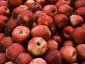 A vivid close-up of fresh, dewy red apples, perfect for healthy food concepts.