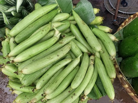 A close-up view of fresh green luffa aegyptiaca vegetables arranged at a market.