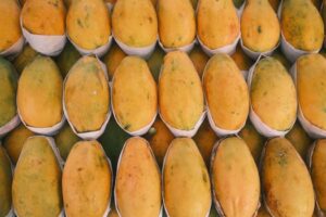 A vibrant display of ripe, yellow mangoes neatly arranged in a market setting.
