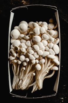 A close-up of fresh enoki mushrooms arranged in a packaging box, highlighting their unique texture.
