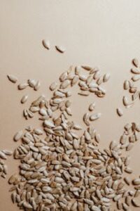 A scattering of organic sunflower seeds on a beige surface, captured from above.